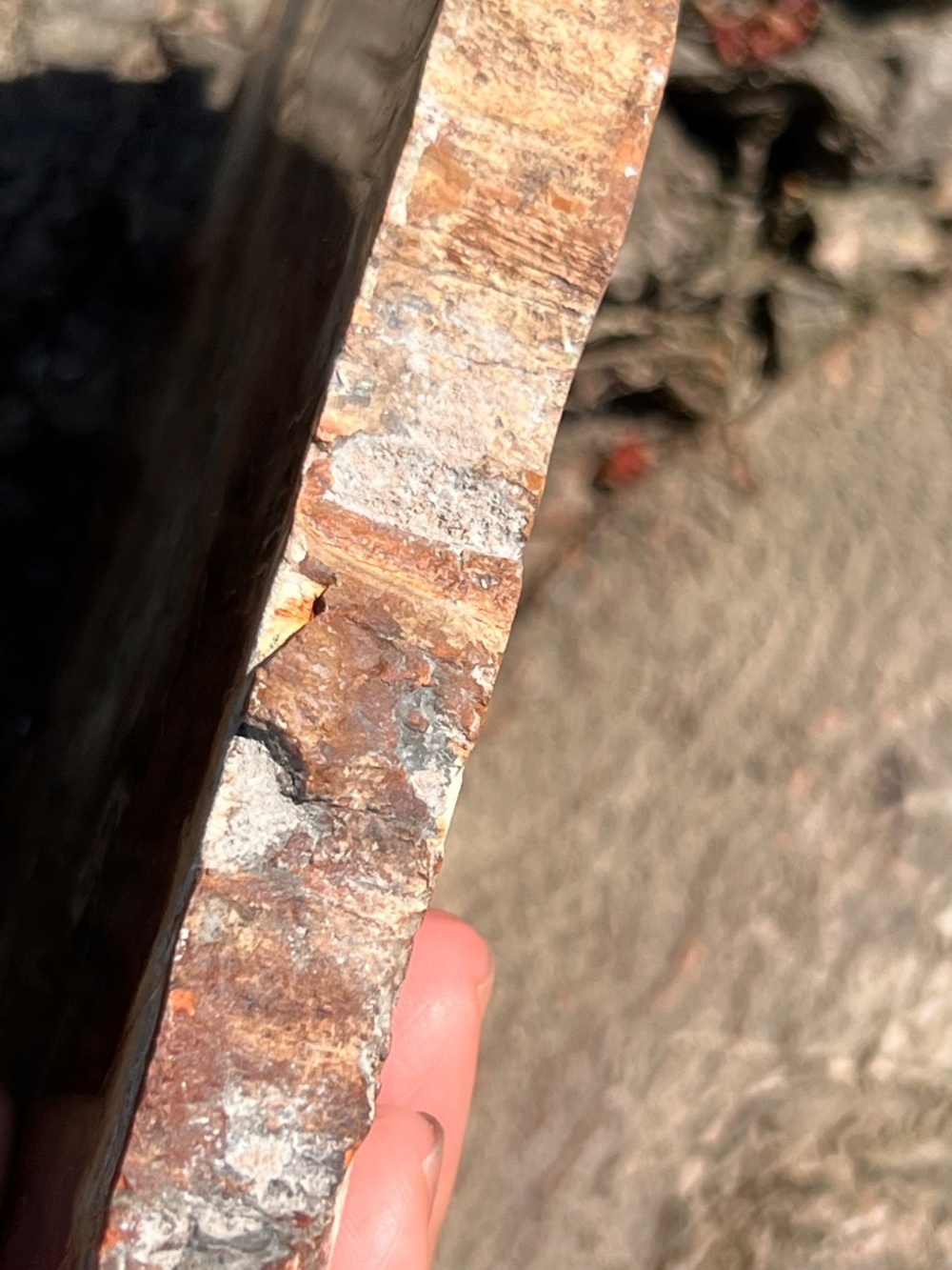Petrified (10) wood slab with stand | crystal - Picture 14 of 17
